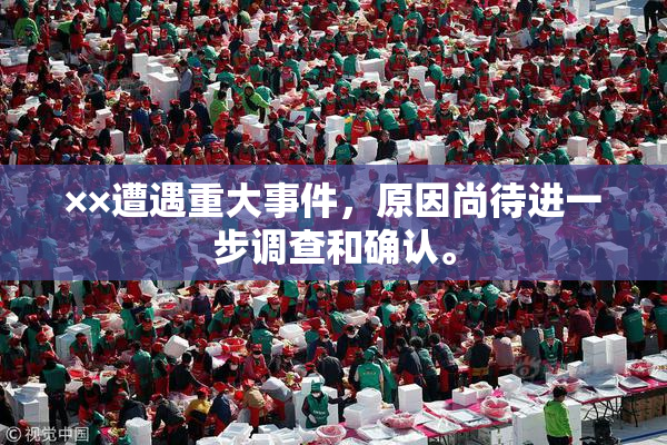 ××遭遇重大事件，原因尚待进一步调查和确认。