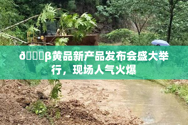 🔞β黄品新产品发布会盛大举行，现场人气火爆