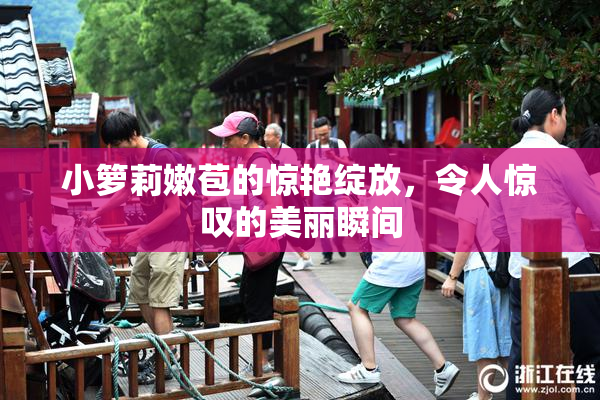 小箩莉嫩苞的惊艳绽放，令人惊叹的美丽瞬间