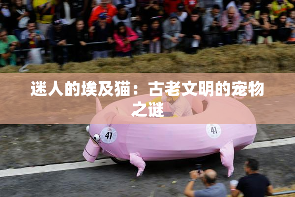 迷人的埃及猫：古老文明的宠物之谜