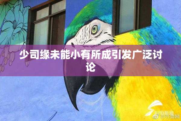 少司缘未能小有所成引发广泛讨论