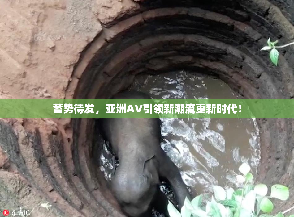 蓄势待发，亚洲AV引领新潮流更新时代！