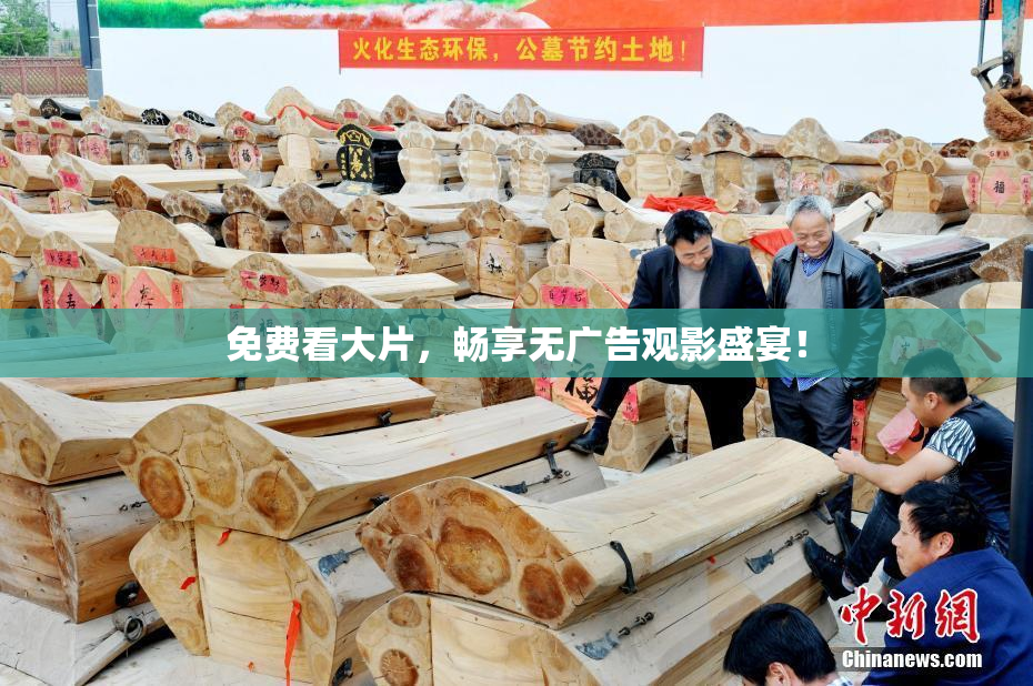 免费看大片，畅享无广告观影盛宴！