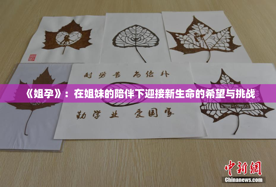 《姐孕》：在姐妹的陪伴下迎接新生命的希望与挑战