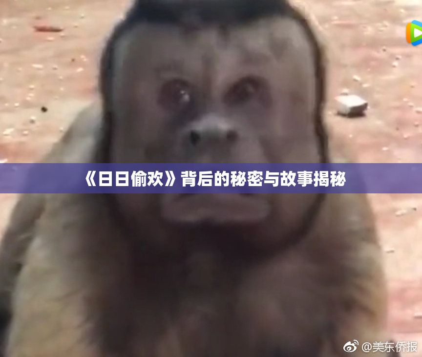 《日日偷欢》背后的秘密与故事揭秘