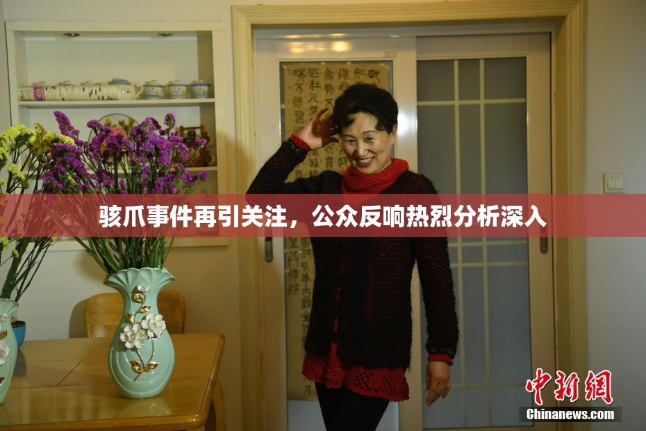 骇爪事件再引关注，公众反响热烈分析深入