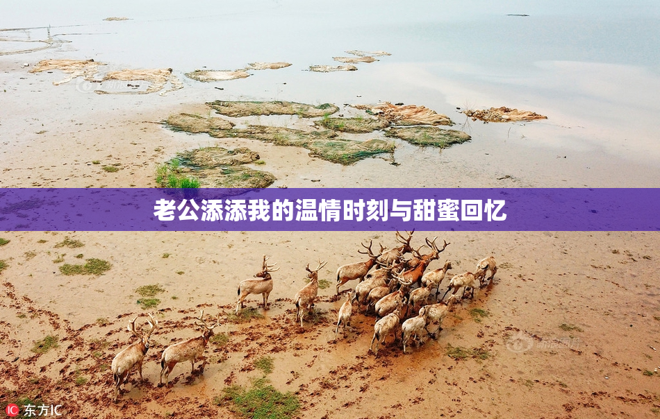 老公添添我的温情时刻与甜蜜回忆