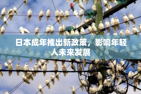 日本成年推出新政策，影响年轻人未来发展