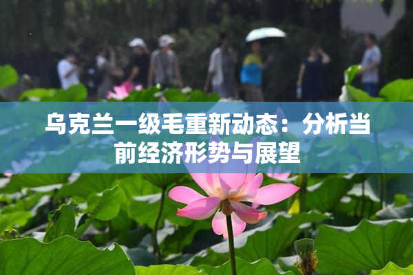 乌克兰一级毛重新动态：分析当前经济形势与展望