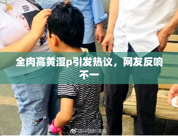 全肉高黄湿p引发热议，网友反响不一