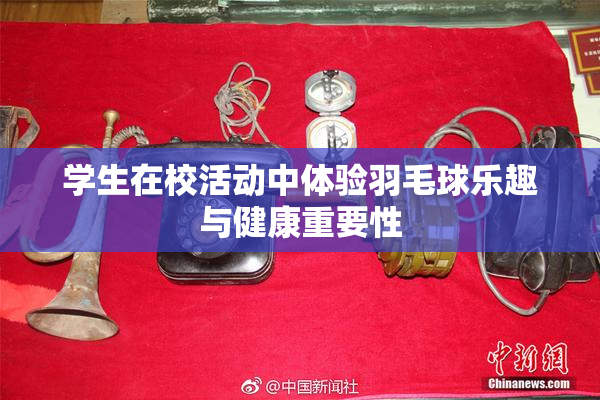 学生在校活动中体验羽毛球乐趣与健康重要性