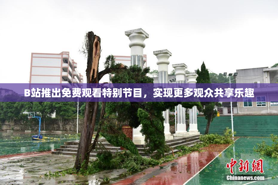 B站推出免费观看特别节目，实现更多观众共享乐趣