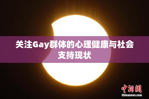 关注Gay群体的心理健康与社会支持现状