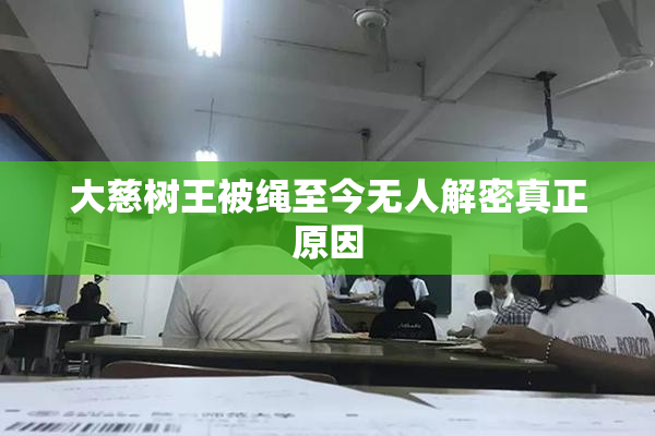 大慈树王被绳至今无人解密真正原因