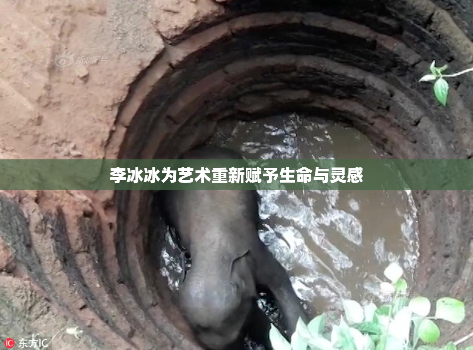 李冰冰为艺术重新赋予生命与灵感