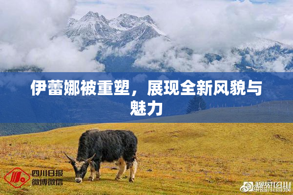 伊蕾娜被重塑，展现全新风貌与魅力