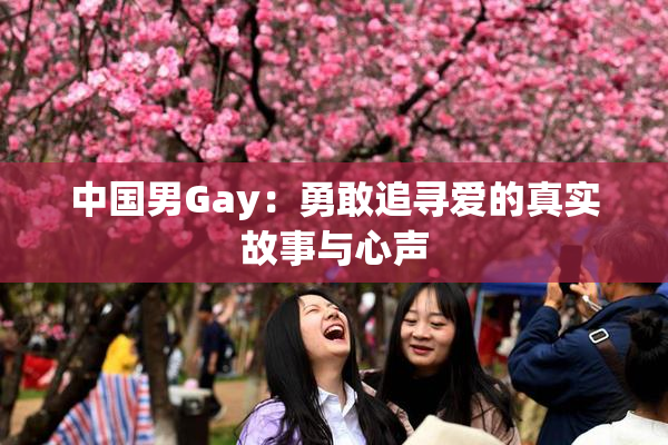 中国男Gay：勇敢追寻爱的真实故事与心声