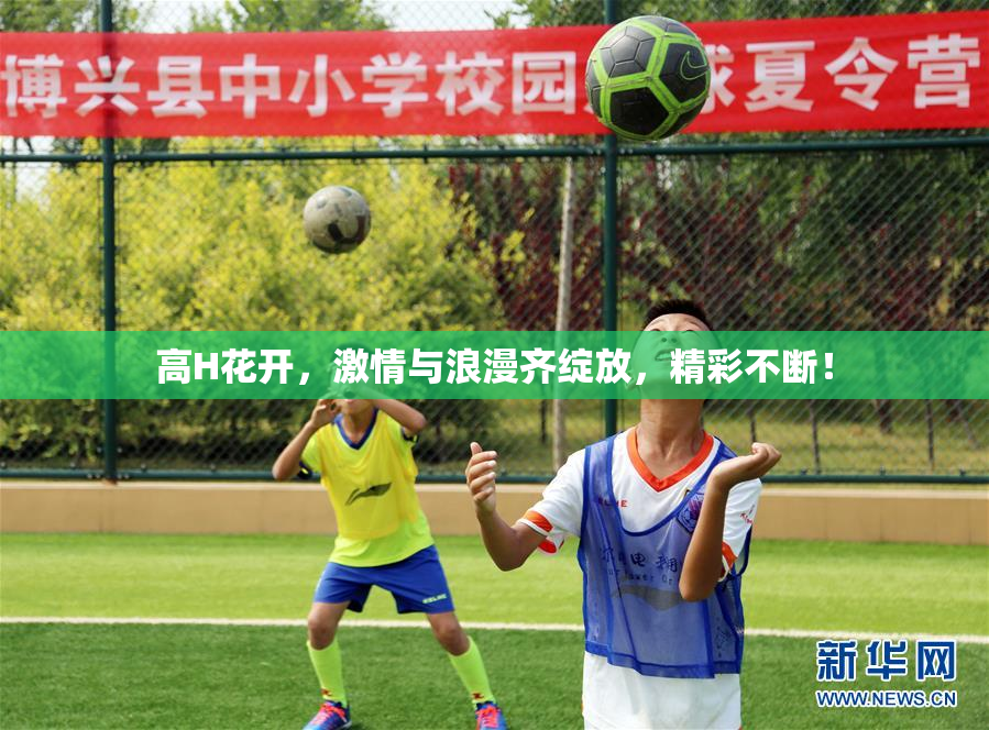 高H花开，激情与浪漫齐绽放，精彩不断！