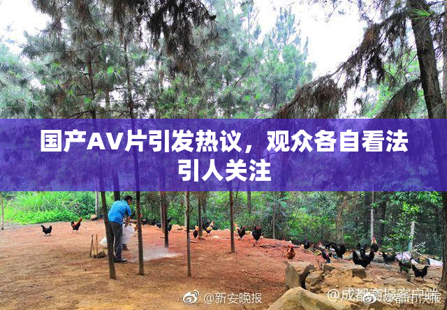 国产AV片引发热议，观众各自看法引人关注