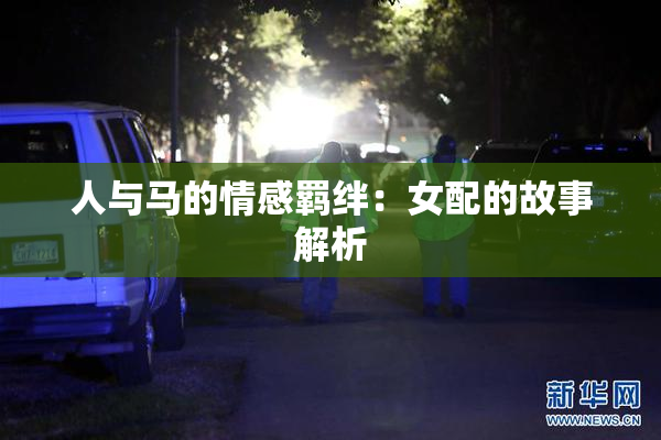人与马的情感羁绊：女配的故事解析