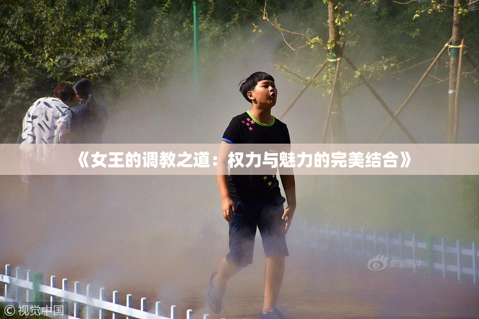 《女王的调教之道：权力与魅力的完美结合》