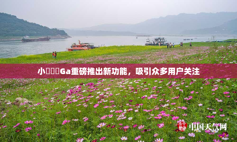 小藍視頻Ga重磅推出新功能，吸引众多用户关注