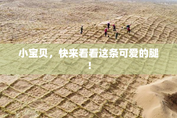 小宝贝，快来看看这条可爱的腿！