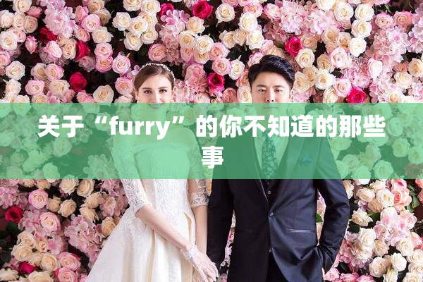 关于“furry”的你不知道的那些事