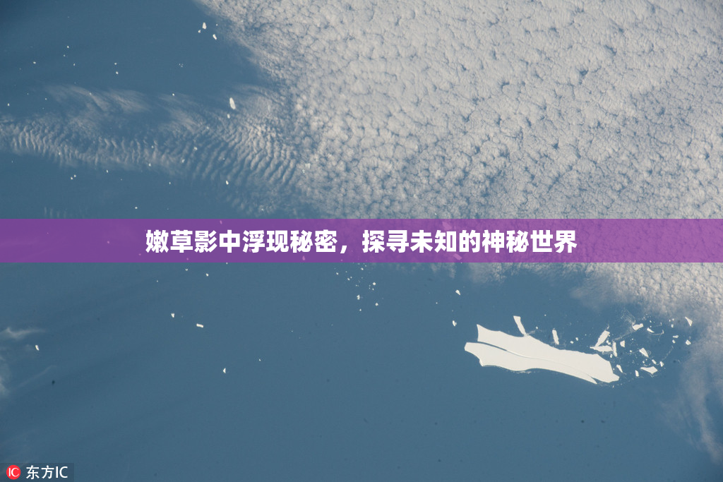 嫩草影中浮现秘密，探寻未知的神秘世界