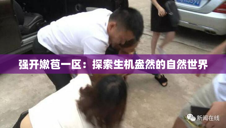 强开嫩苞一区：探索生机盎然的自然世界