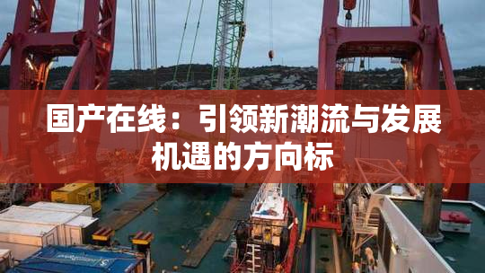 国产在线：引领新潮流与发展机遇的方向标