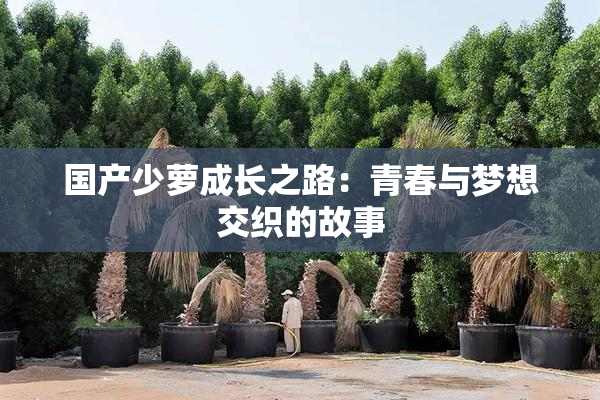 国产少萝成长之路：青春与梦想交织的故事