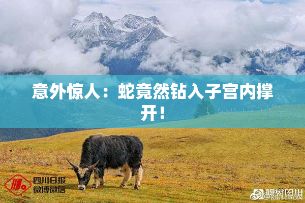 意外惊人：蛇竟然钻入子宫内撑开！