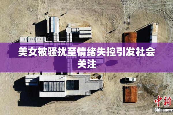 美女被骚扰至情绪失控引发社会关注