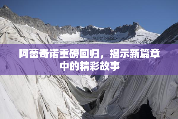 阿蕾奇诺重磅回归，揭示新篇章中的精彩故事