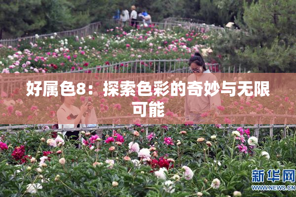 好属色8：探索色彩的奇妙与无限可能