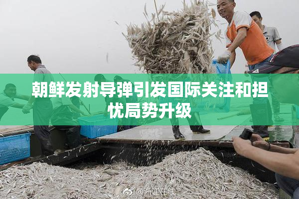 朝鲜发射导弹引发国际关注和担忧局势升级