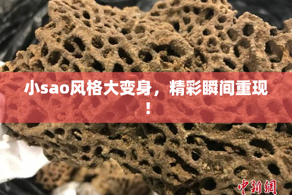 小sao风格大变身，精彩瞬间重现！