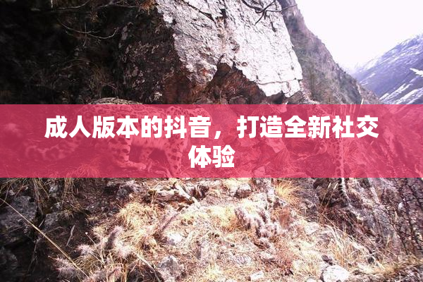 成人版本的抖音，打造全新社交体验