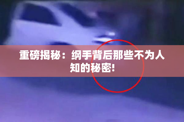 重磅揭秘：纲手背后那些不为人知的秘密!