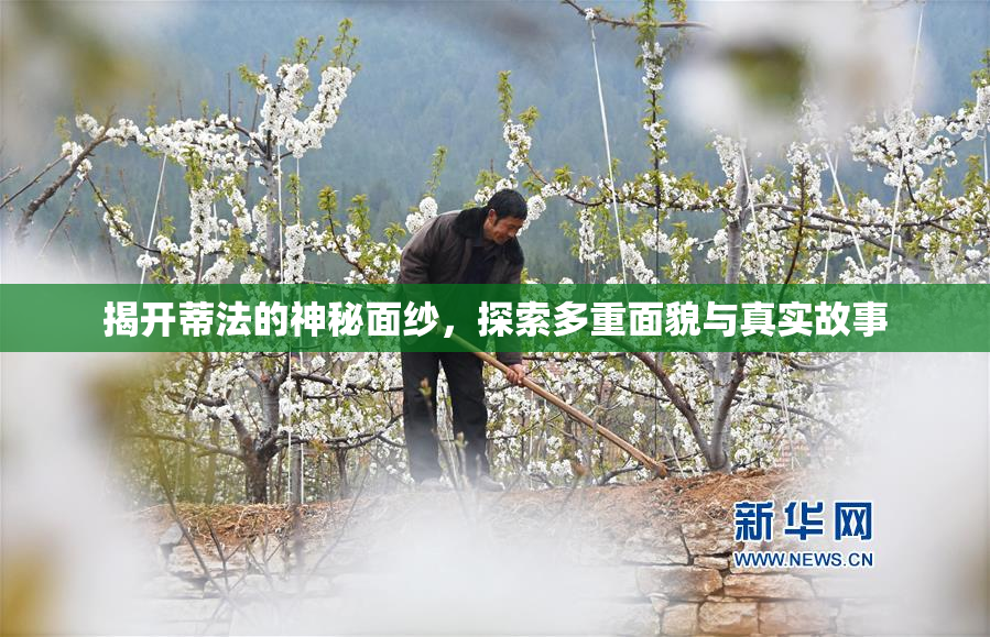 揭开蒂法的神秘面纱，探索多重面貌与真实故事