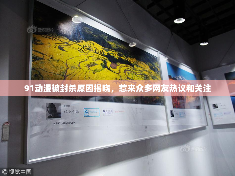 91动漫被封杀原因揭晓，惹来众多网友热议和关注