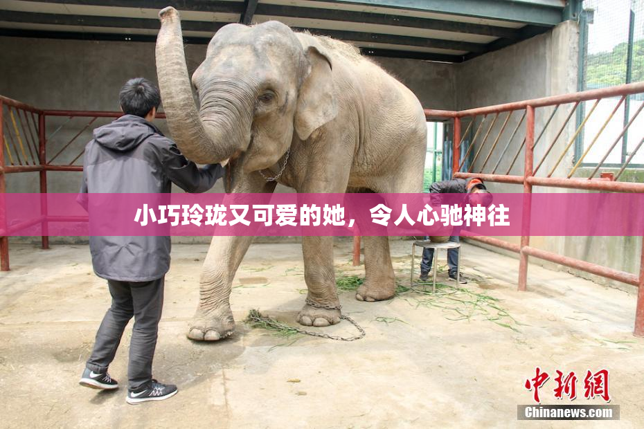 小巧玲珑又可爱的她，令人心驰神往