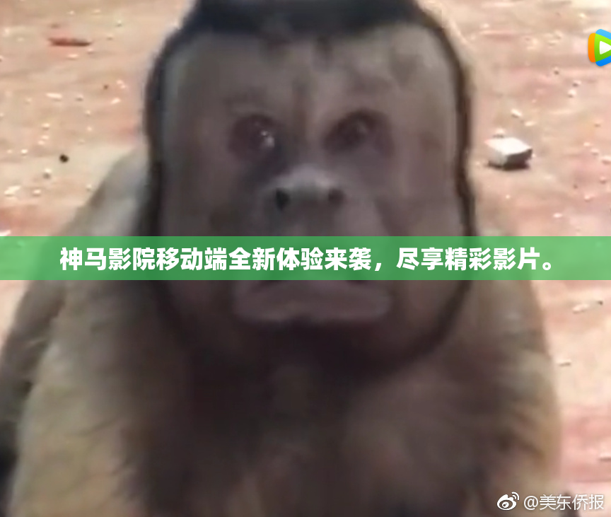 神马影院移动端全新体验来袭，尽享精彩影片。