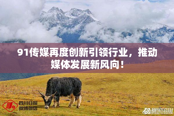 91传媒再度创新引领行业，推动媒体发展新风向！