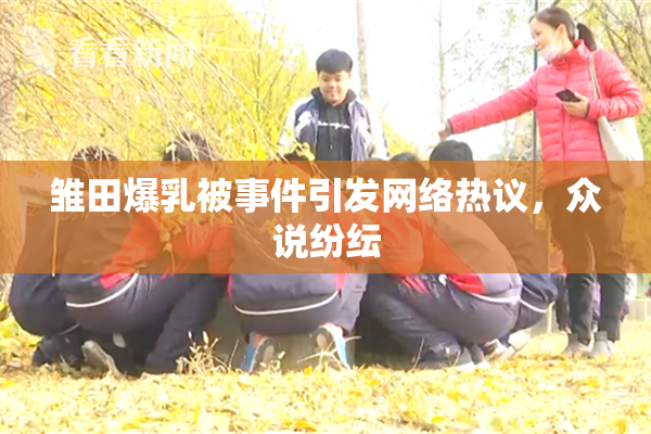 雏田爆乳被事件引发网络热议，众说纷纭