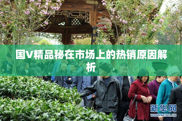 国V精品秘在市场上的热销原因解析