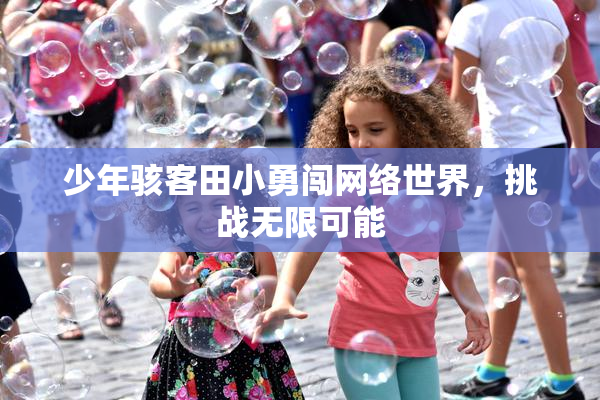 少年骇客田小勇闯网络世界，挑战无限可能