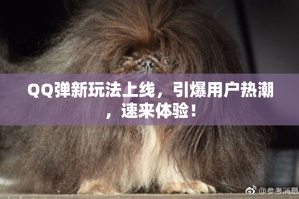 QQ弹新玩法上线，引爆用户热潮，速来体验！