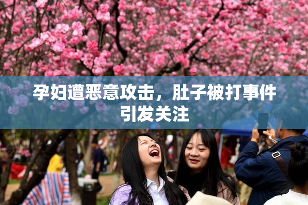 孕妇遭恶意攻击，肚子被打事件引发关注